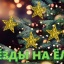 ЗВЁЗДЫ НА ЁЛКЕ