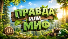 Правда или миф (лесная тематика)