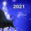 Видео заставки для Нового года 2021 (футаж)