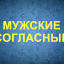 Мужские согласные. Конкурс на 23 февраля.