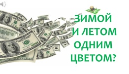 ДЕНЬ ТОРГОВЛИ.  ЗИМОЙ И ЛЕТОМ ОДНИМ ЦВЕТОМ.