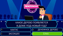 Миллионер на Новый год