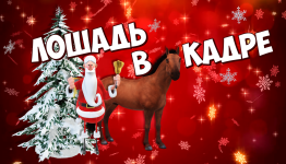 Лошадь в кадре (мультфильмы)