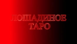 Лошадиное таро