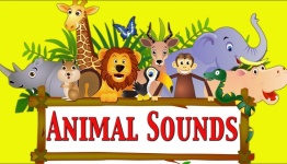 Animal sound